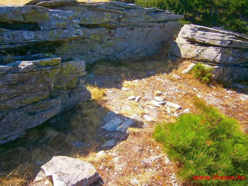 Az öreg falu, a vén platán és a folyók meséje